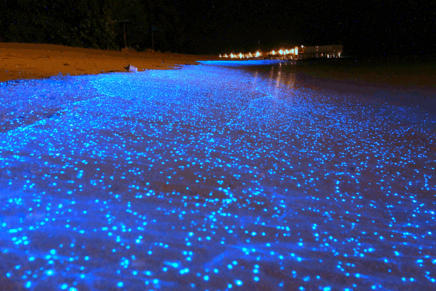 Sea of Stars, Vaadhoo Island