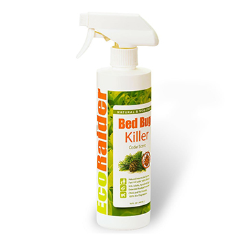 Best Bed Bug Sprays