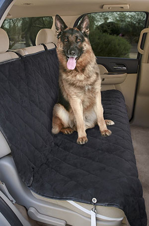 Best Dog Seat Covers