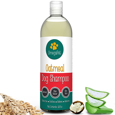 Best Smelling Dry Shampoo for Dogs